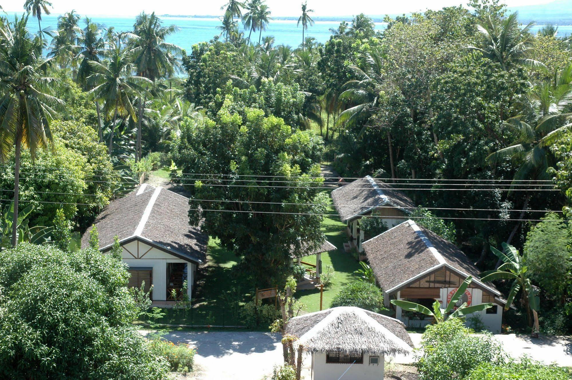 Neptune Diving Resort Santander Ngoại thất bức ảnh